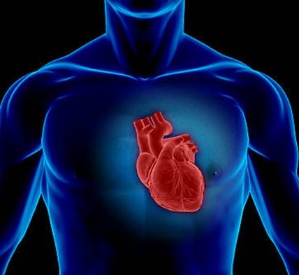 Zapalenie mięśnia sercowego. Fotografia: webmd.com.